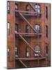 Fire Escapes, Boston, Massachusetts, USA-Amanda Hall-Mounted Photographic Print