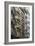 Fire Escapes, Tribeca, New York City, Ny, Usa-Natalie Tepper-Framed Photo