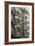 Fire Escapes, Tribeca, New York City, Ny, Usa-Natalie Tepper-Framed Photo