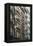 Fire Escapes, Tribeca, New York City, Ny, Usa-Natalie Tepper-Framed Stretched Canvas