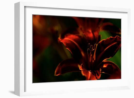 Fire Flowers-Howard Ruby-Framed Photographic Print