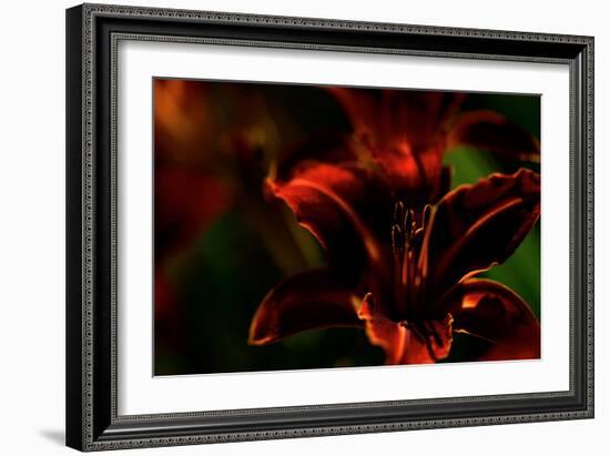 Fire Flowers-Howard Ruby-Framed Photographic Print