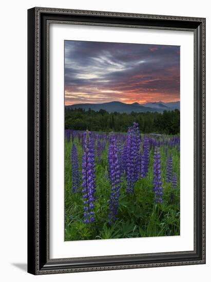 Fire in the Sky-Michael Blanchette-Framed Photographic Print