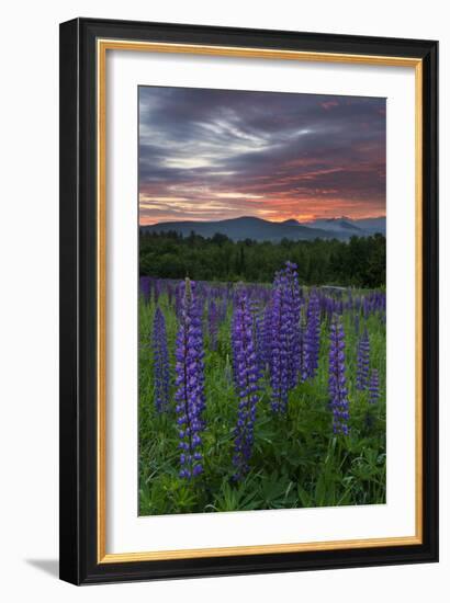 Fire in the Sky-Michael Blanchette-Framed Photographic Print