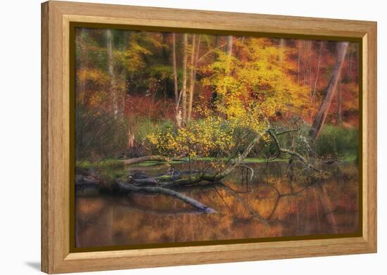 Fire Lake-Viviane Fedieu Daniel-Framed Premier Image Canvas