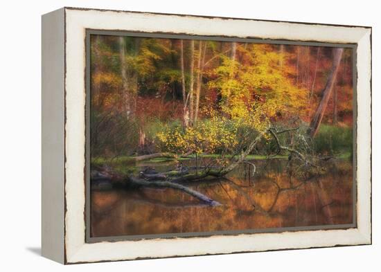 Fire Lake-Viviane Fedieu Daniel-Framed Premier Image Canvas