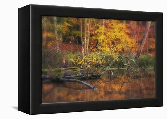 Fire Lake-Viviane Fedieu Daniel-Framed Premier Image Canvas