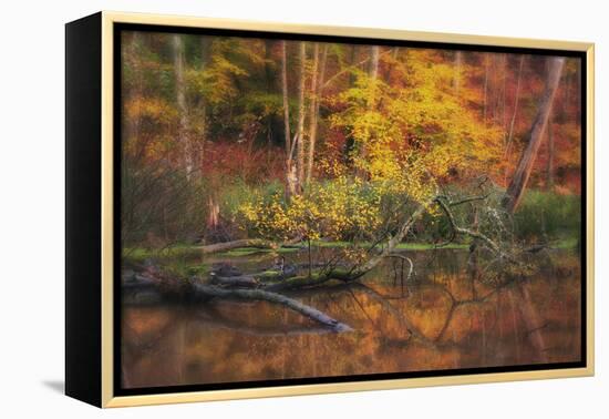 Fire Lake-Viviane Fedieu Daniel-Framed Premier Image Canvas