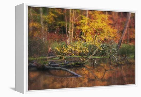 Fire Lake-Viviane Fedieu Daniel-Framed Premier Image Canvas