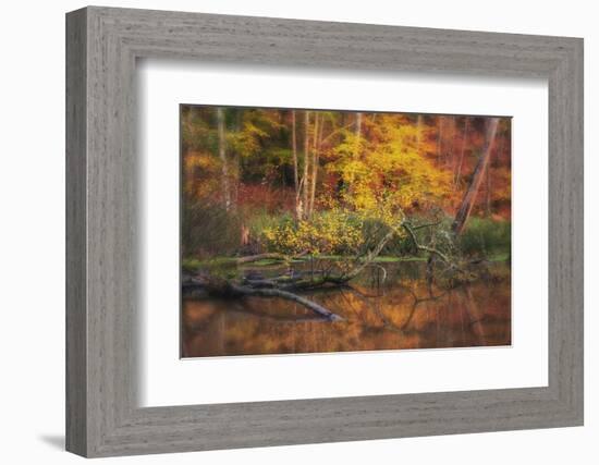 Fire Lake-Viviane Fedieu Daniel-Framed Photographic Print