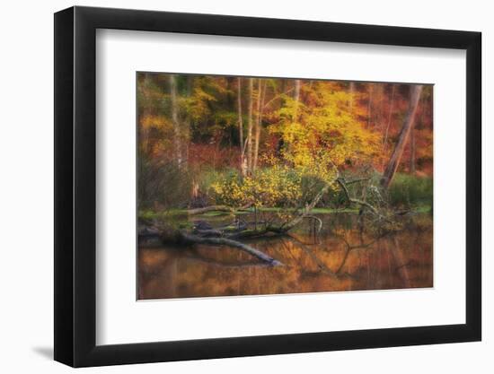 Fire Lake-Viviane Fedieu Daniel-Framed Photographic Print