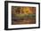 Fire Lake-Viviane Fedieu Daniel-Framed Photographic Print