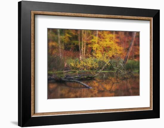 Fire Lake-Viviane Fedieu Daniel-Framed Photographic Print