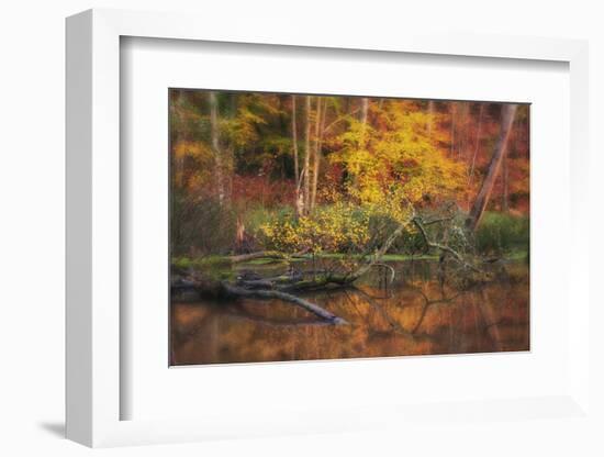 Fire Lake-Viviane Fedieu Daniel-Framed Photographic Print