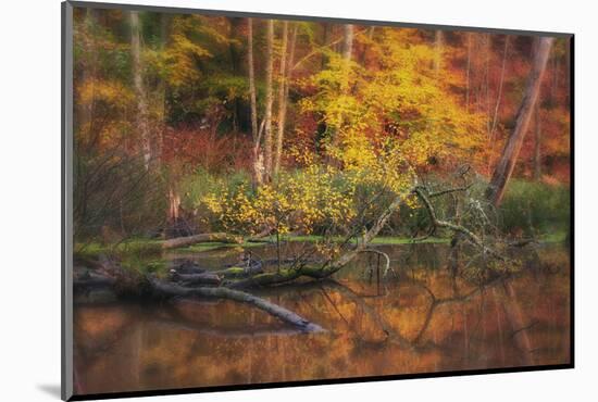 Fire Lake-Viviane Fedieu Daniel-Mounted Photographic Print