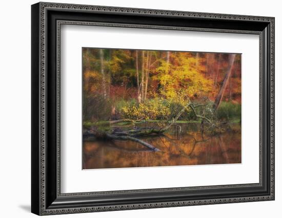 Fire Lake-Viviane Fedieu Daniel-Framed Photographic Print