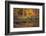 Fire Lake-Viviane Fedieu Daniel-Framed Photographic Print