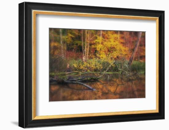 Fire Lake-Viviane Fedieu Daniel-Framed Photographic Print