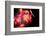 Fire Leaves-Philippe Sainte-Laudy-Framed Photographic Print
