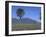 Fire Mountain, Lanzarote, Canary Islands, Atlantic, Spain, Europe-John Miller-Framed Photographic Print