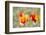 Fire Poppy Flowers, Palouse Country, Washington, USA-Terry Eggers-Framed Photographic Print