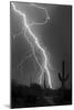 Fire & Rain BW-Douglas Taylor-Mounted Photo