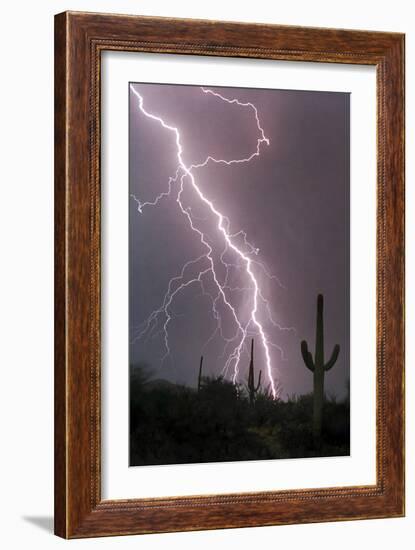 Fire & Rain-Douglas Taylor-Framed Photo