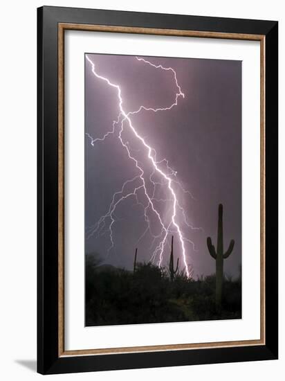 Fire & Rain-Douglas Taylor-Framed Photo