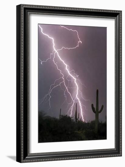 Fire & Rain-Douglas Taylor-Framed Photo