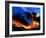 Fire Surf-Thomas Leung-Framed Giclee Print