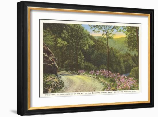 Fire Trail in Great Smoky Mountains-null-Framed Art Print