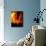 Fire Whirl, Artwork-Victor Habbick-Photographic Print displayed on a wall