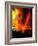 Fire Whirl, Artwork-Victor Habbick-Framed Photographic Print