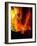 Fire Whirl, Artwork-Victor Habbick-Framed Photographic Print