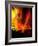 Fire Whirl, Artwork-Victor Habbick-Framed Photographic Print