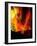 Fire Whirl, Artwork-Victor Habbick-Framed Photographic Print