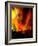 Fire Whirl, Artwork-Victor Habbick-Framed Photographic Print