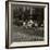 Fire Wood Pickers-Lewis Wickes Hine-Framed Photo