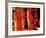 Fire-Pamela Nielsen-Framed Collectable Print