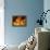 Fire-null-Framed Premier Image Canvas displayed on a wall