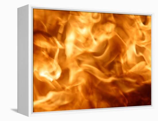 Fire-null-Framed Premier Image Canvas