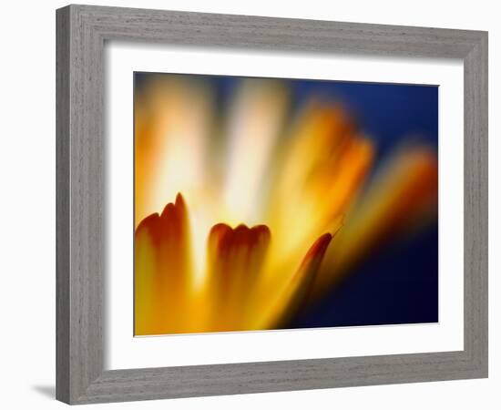 Fire-Ursula Abresch-Framed Photographic Print