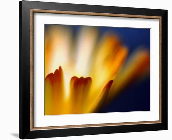 Fire-Ursula Abresch-Framed Photographic Print