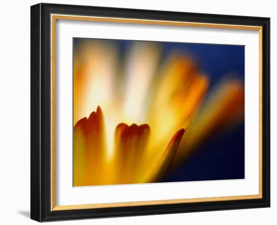 Fire-Ursula Abresch-Framed Photographic Print