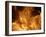 Fire-null-Framed Photographic Print