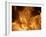 Fire-null-Framed Photographic Print