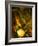 Fire-Doug Chinnery-Framed Photographic Print