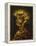 Fire-Giuseppe Arcimboldo-Framed Premier Image Canvas