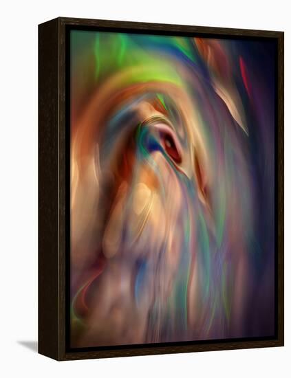 Firebird-Ursula Abresch-Framed Premier Image Canvas