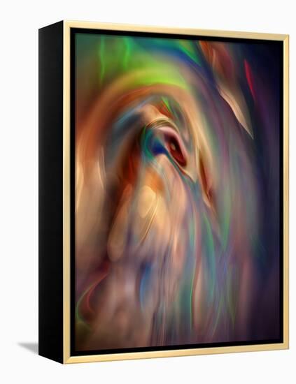 Firebird-Ursula Abresch-Framed Premier Image Canvas